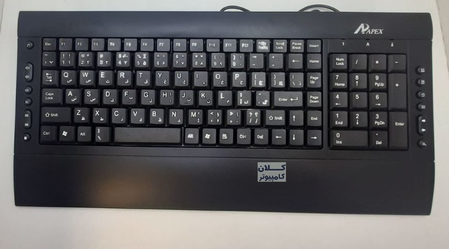 9900-1.jpg